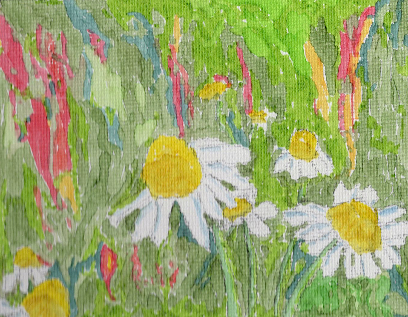 Coming Up Daisies